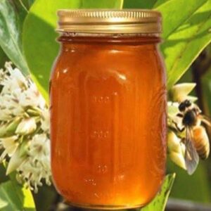 Khalisha Flower Honey (সুন্দরবনের খলিশা ফুলের মধু)