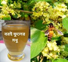 Boroi Flower Honey (বড়ই ফুলের মধু)